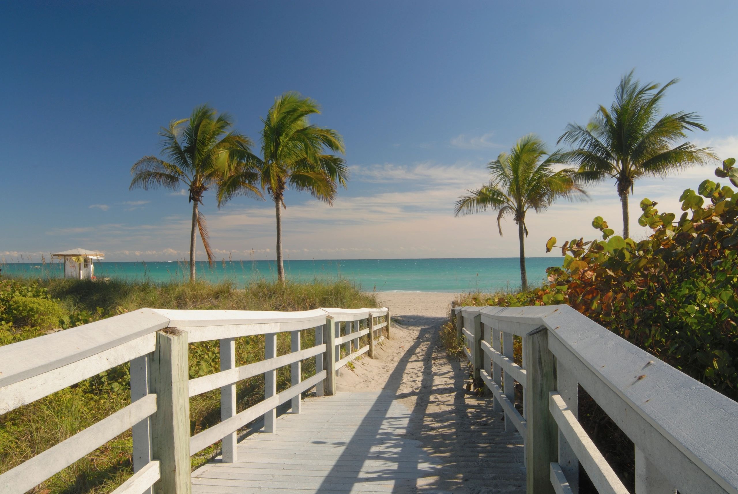 Tropical Florida beach boardwalk with palm trees